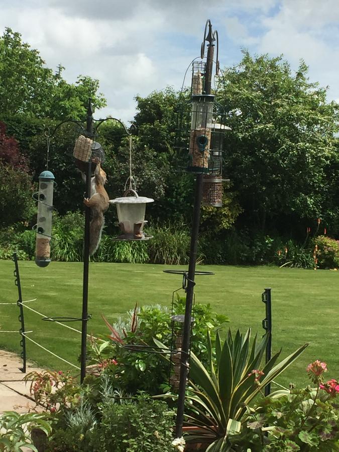 Castle Farmhouse Bed And Breakfast Glenfield ภายนอก รูปภาพ